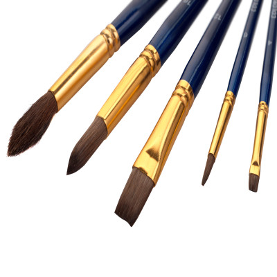 Bộ 5 Cây Cọ Vẽ Colormate - MS-05BRS