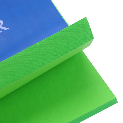 Bìa Giấy A4 Đậm ĐL - Xanh Lá - Mẫu Ngẫu Nhiên