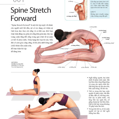 501 Bài Tập Giảm Cân Và Giữ Dáng