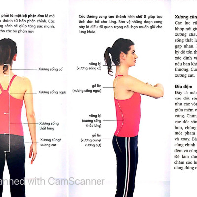 Sách Lò Xo - 15 Phút Tập Lưng (Kèm 1 DVD)