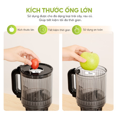 Máy ép chậm đa năng Lebenlang LBL1414, 300W, nhỏ gọn tiện lợi, ép kiệt bã đến 99%, giữ trọn dinh dưỡng, bảo hành 2 năm - hàng chính hãng