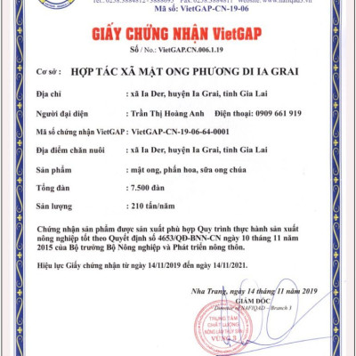 Mật ong Hoa Cà Phê Phương Di (500ml), nguyên chất 100% , đặc sản tây nguyên, sản xuất hoàn toàn tự nhiên, không phụ gia, chất bảo quản