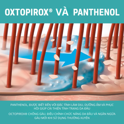 Dầu Gội Sạch Gàu Goldwell Scalp Specialist Làm Sạch Sâu, Giảm Ngứa, Ngăn Ngừa Gàu Quay Trở Lại 250ml