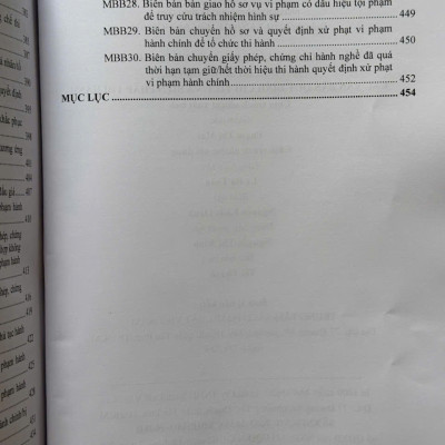 Luật Xử Lý Vi Phạm Hành Chính sửa đổi, bổ sung năm 2025 – Các Văn Bản Quy Định Chi Tiết và Biện Pháp Thi Hành (V2610T)