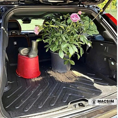 Thảm lót cốp ô tô nhựa TPU Mercedes S Class (W221) fifth generation 2006-2013 Nhãn hiệu Macsim