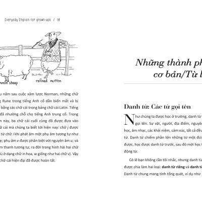 Sách Everyday English For Grown-Ups - Tự Học Tiếng Anh Cho Người Bận Rộn _AZ