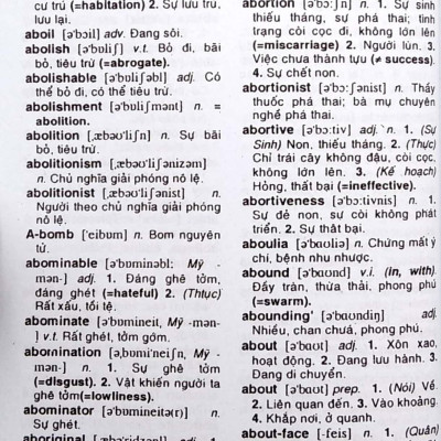 Từ Điển Anh - Việt Khoảng 299.000 Từ