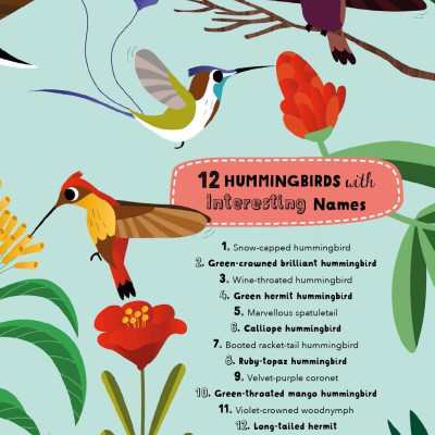 Lists For Curious Kids: Animals: 206 Fun, Fascinating And Fact-Filled Lists