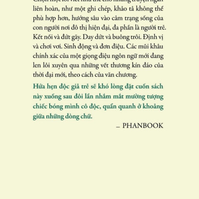 NHIỀU BUỔI CHIỀU VÀ NHIỀU BUỔI TỐI - Trần Lam Vy (bìa mềm)