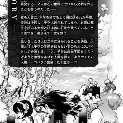 Dr. STONE 3 (ジャンプコミックス)