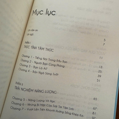 CỞI TRÓI LINH HỒN – Cuốn Sách Giúp Người Đọc Vượt Qua Giới Hạn Của Chính Mình - Michael A. Singer - Bùi Thị Ngọc Hương dịch -First News -  NXB Tổng Hợp HCM