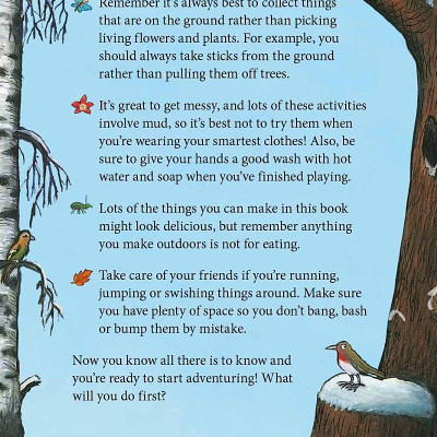 The Snail And The Whale And Friends Outdoor Activity Book