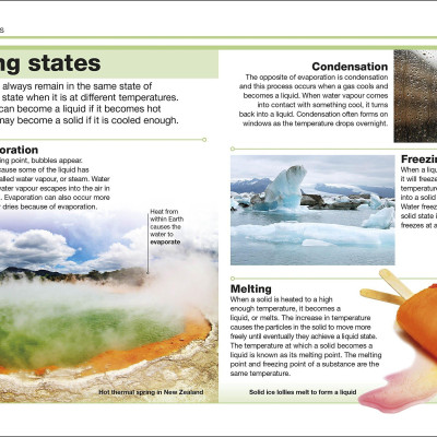 DK Pocket Eyewitness: Science