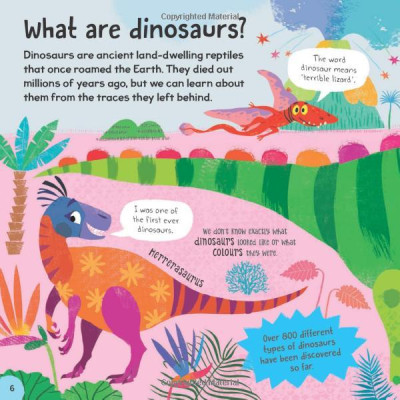 First Dinosaur Book