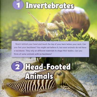 Smart Reading 6-3 (220 Words)