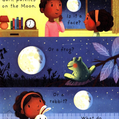 What Is The Moon? (Very First Lift-the-Flap Questions & Answers)