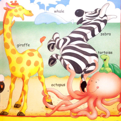 ABC & Counting (Padded)