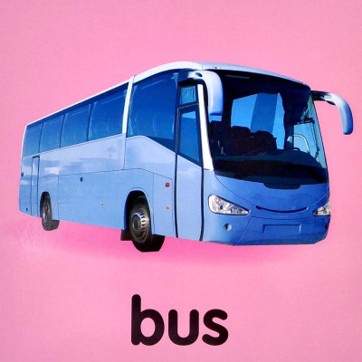 My First Words: Things That Go