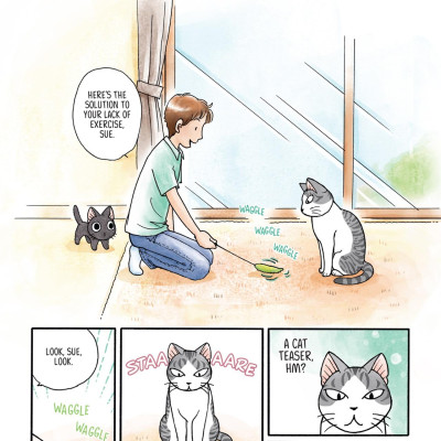 Sue & Tai-chan 2 (Graphic Novels)