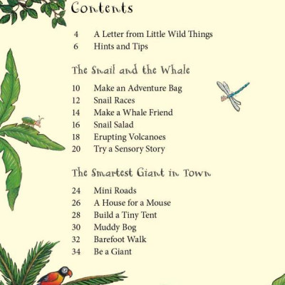 The Snail And The Whale And Friends Outdoor Activity Book