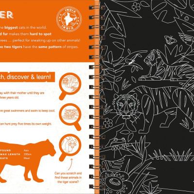 Animals (Scratch Discover & Learn)