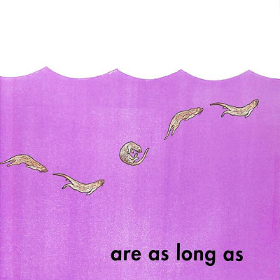 How Long Is A Whale?