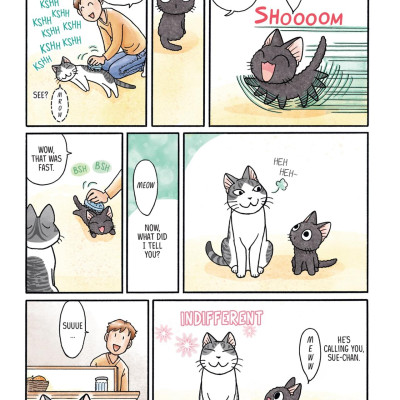 Sue & Tai-chan 2 (Graphic Novels)