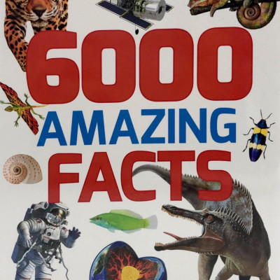 B384 6000 AMAZING FACTS