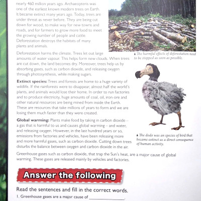 Wonders Of Learning - Sticker Book - Saving Planet Earth