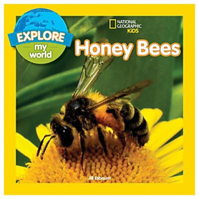 Explore My World: Honey Bees