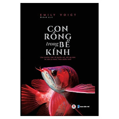  Con Rồng Trong Bể Kính - Câu Chuyện Thật Về Quyền Lực, Nỗi Ám Ảnh Và Loài Cá Đáng Thèm Muốn Nhất