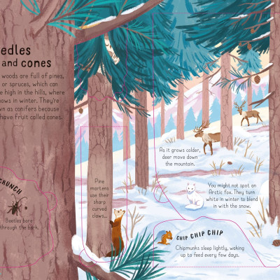 Sách tương tác tiếng Anh - Look Inside The Woods