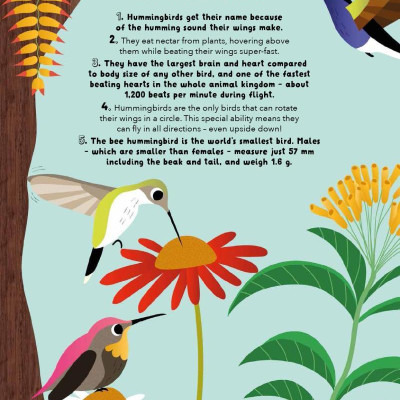 Lists For Curious Kids: Animals: 206 Fun, Fascinating And Fact-Filled Lists