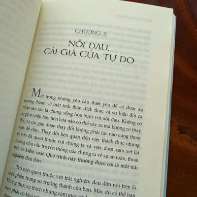 CỞI TRÓI LINH HỒN – Cuốn Sách Giúp Người Đọc Vượt Qua Giới Hạn Của Chính Mình - Michael A. Singer - Bùi Thị Ngọc Hương dịch -First News -  NXB Tổng Hợp HCM