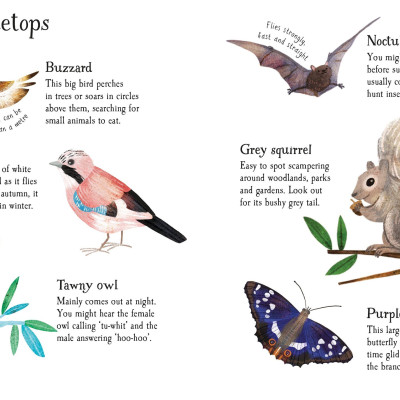 Woodland Life To Spot