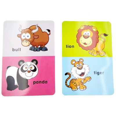 Write & Wipe Flash Cards - Animals