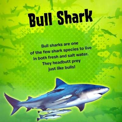 My First Puzzle Book: Sharks