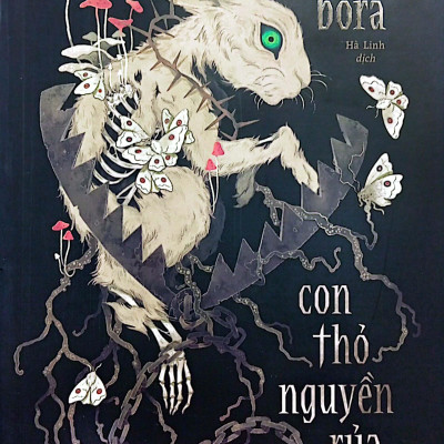 Sách - Con Thỏ Nguyền Rủa