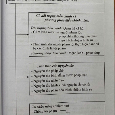 Mô Hình Luật Hình Sự Việt Nam