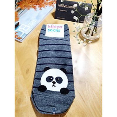 Vớ nữ Hàn Quốc KIKIYA SOCKS - Vớ sọc gấu W-C-034