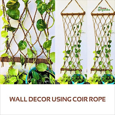 Dây xơ dừa 5mm cho giàn cây leo