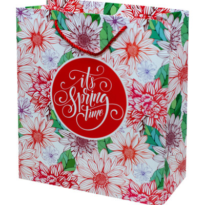 TÚI DÂY ĐẠI TT120 36 X 32 X15 CM - NGẪU NHIÊN