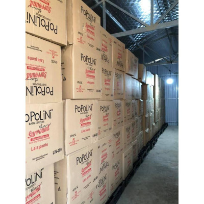 Combo 6 bịch POPOLINI size M 48 miếng dành cho bé 6-11kg