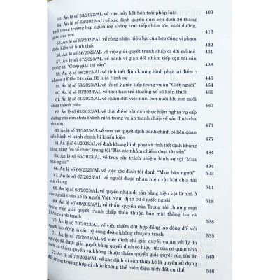 Hệ thống Án lệ Việt Nam (Hiện hành) - Từ Án lệ số 01 đến Án lệ số 72