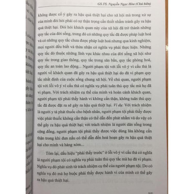 Bình luận khoa học Bộ luật hình sự 2015, được sửa đổi bổ sung 2017 (phần chung)