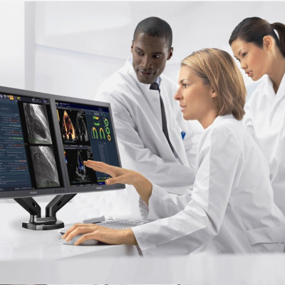 Giá treo 2 màn hình máy tính nhập khẩu F160 cho 17 - 27inch