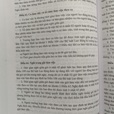 500 Câu Hỏi Và Tình Huống Giải Quyết Các Vướng Mắc, Tranh Chấp Lao Động Theo Bộ Luật Lao Động Năm 2019
