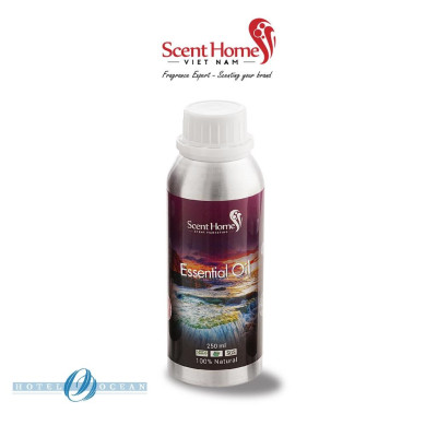 Tinh dầu Scent Homes - mùi hương (Ocean Hotel)