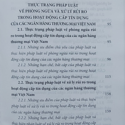 Pháp luật về phòng ngừa và xử lý rủi ro trong hoạt động cấp tín dụng của các ngân hàng thương mại ở Việt Nam