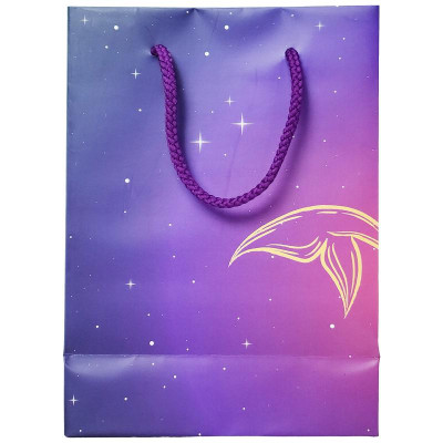 Túi Đựng Quà 16 x 22 x 8 cm - The Whale - The Sun 02